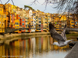 Girona excites me, 26 January 2014