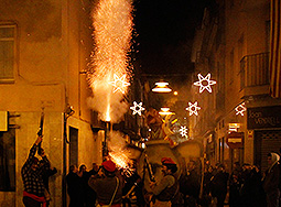 Ratafia, del 6 al 9 de novembre de 2014 . Santa Coloma de Farners