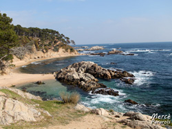 Baix Empordà, cala Castell, cala Estrecha, Monells, Madremaña y San Martín Viejo, Febrero 2013